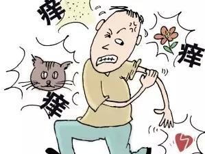 治疗疥疮有的中成药与验方