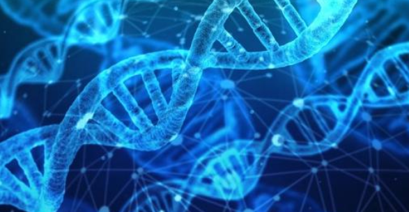 关于Rh阴性那些事