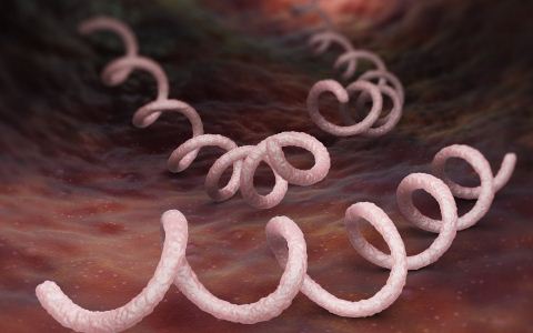 如何分辨梅毒和银屑病 生活中如何预防呢？