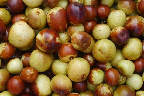 孕妇需要的维生素从哪里来呢