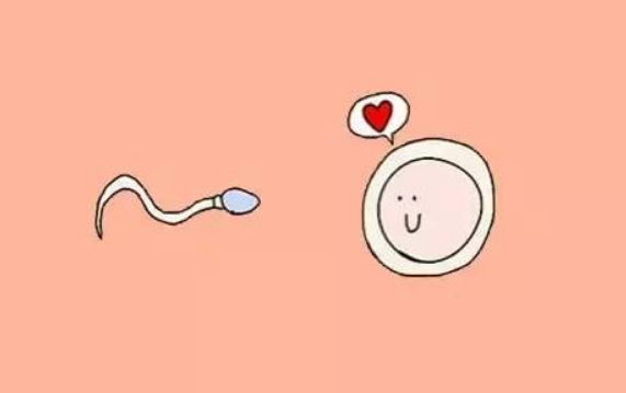 备孕期：精子健康的三个指标