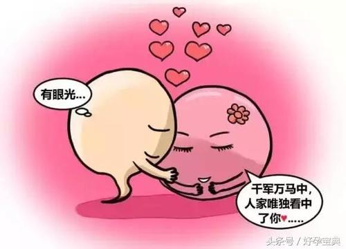 备孕如何做受孕几率大？