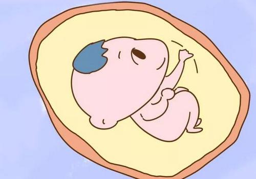 早产儿出院后回到家该如何护理