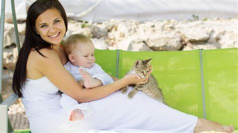 夫妻借腹生子被骗，代孕到底合不合法？