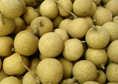 怀孕期间有哪些食物是不能吃的