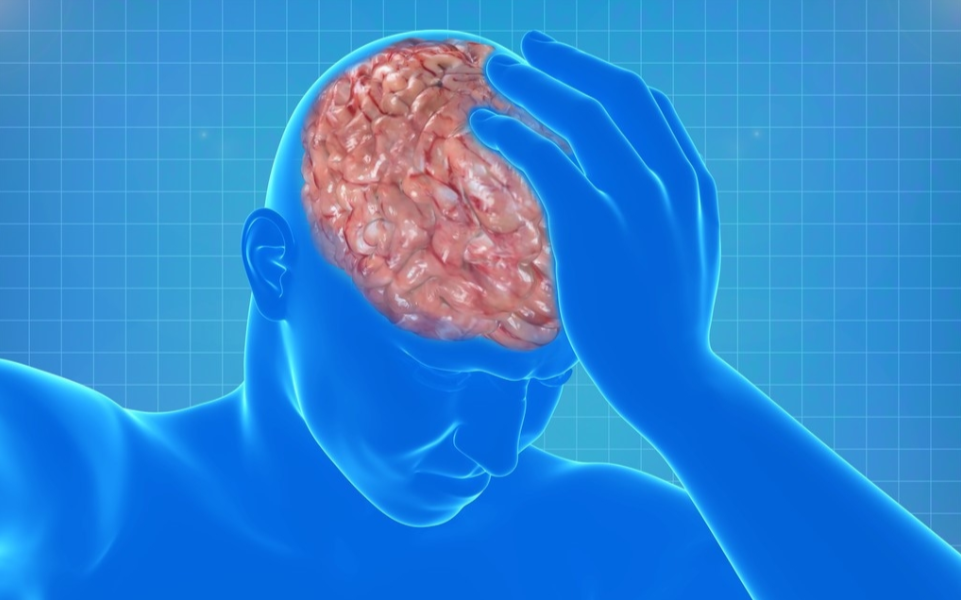 天鹅到家小贴士：脑中风的病因以及预防方法