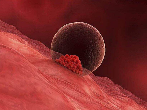 卵泡期体温多少正常