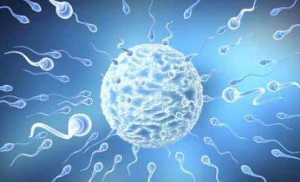 初秋治愈不孕不育好时机