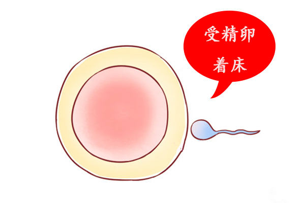 怀孕10天就会出现的明显征兆有哪些？如果有就先恭喜啦！