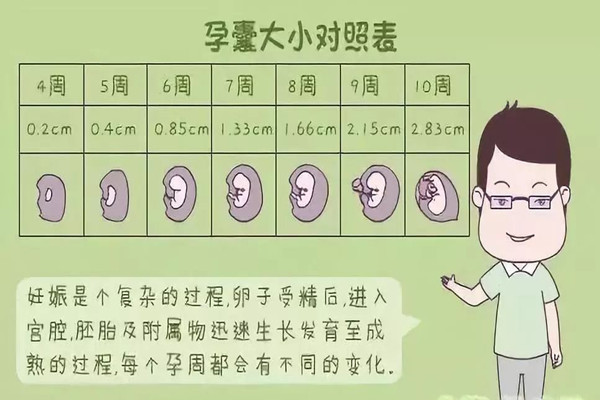 怀孕45天孕囊大小有标准吗？到底有多大呢
