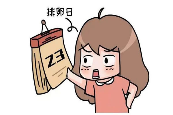 排卵当天最明显的症状，出现这八大征兆预示你正在排卵