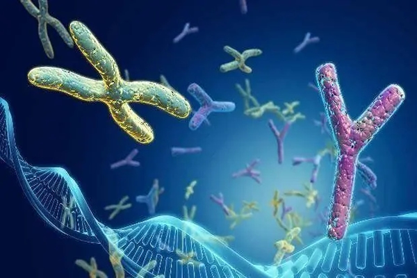 哪些人容易染色体异常，原来正常人也有染色体异常的可能性