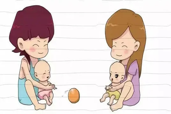 五个月宝宝早教内容，重点在于认知和动作能力的培养和训练