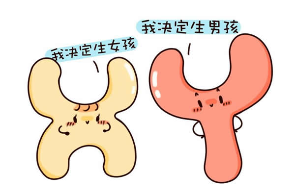 想生个女儿怎么备孕，六个秘诀助你拥有可爱小公主