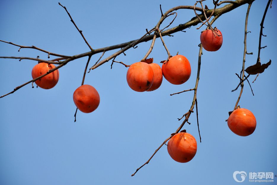 哺乳期能吃柿子吗？过量食用可能引发这4个危害
