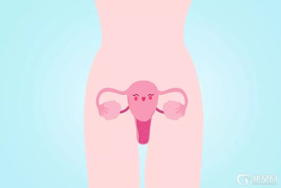 保养卵巢的最好食物有哪些，这八种不容错过！