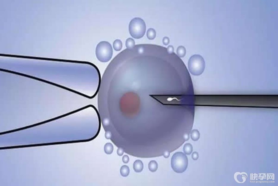 amh值为0.04还有可能会取到好卵子吗-当然是可能的