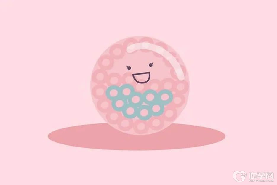 试管基础卵泡三个会取多少个卵子？发育成熟才能算数