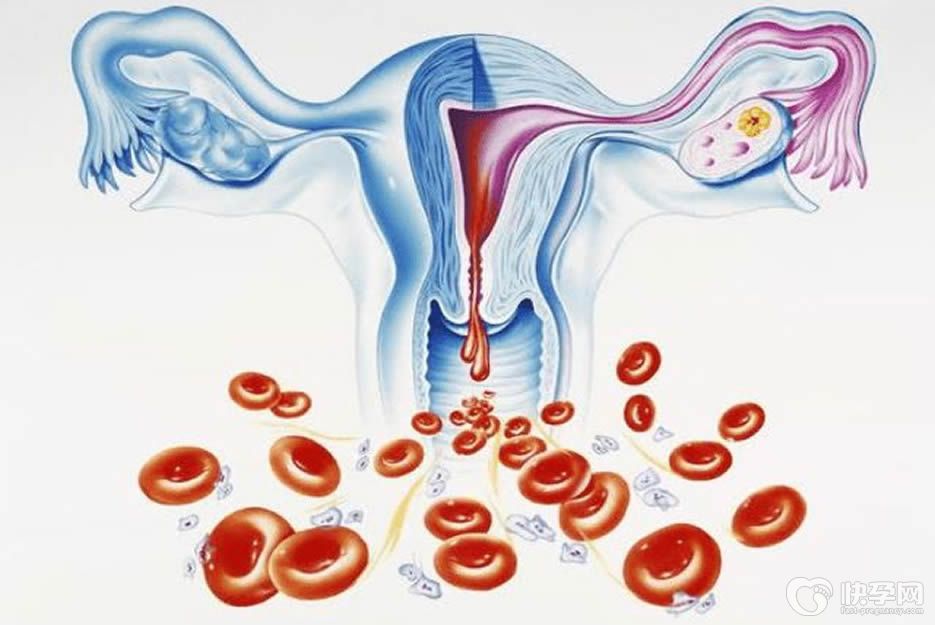 月经是血块状是怎么回事？别慌，且听我慢慢道来