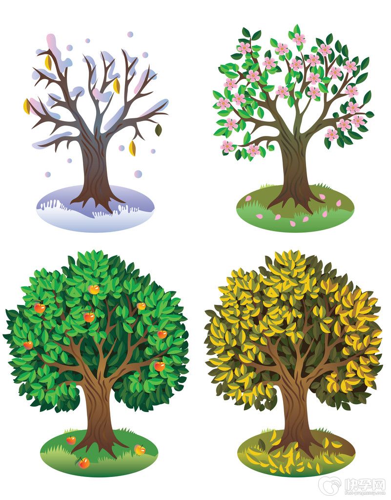 试管婴儿也应该选秋季吗-四季均可收获希望