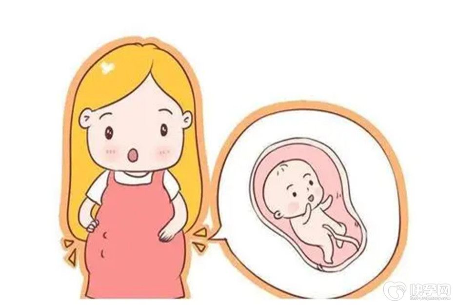怀孕多久有胎动，手把手教你数胎动