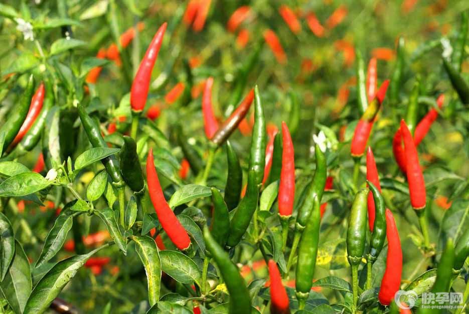 坐月子禁止吃的12种蔬菜，忌口清单请注意查收