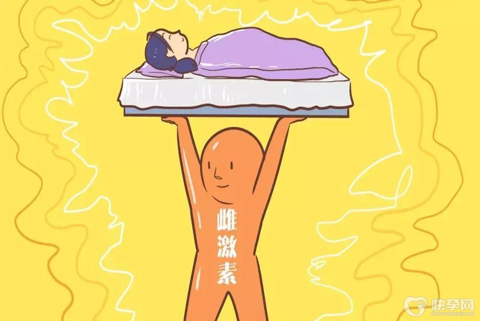 盘点10大雌性激素多的食物，女性朋友不容错过