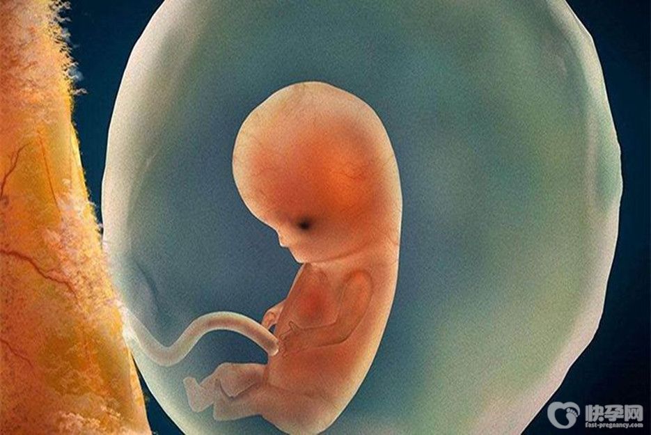 三个月胎儿停止发育是有反应的，这几个预防措施千万别小瞧