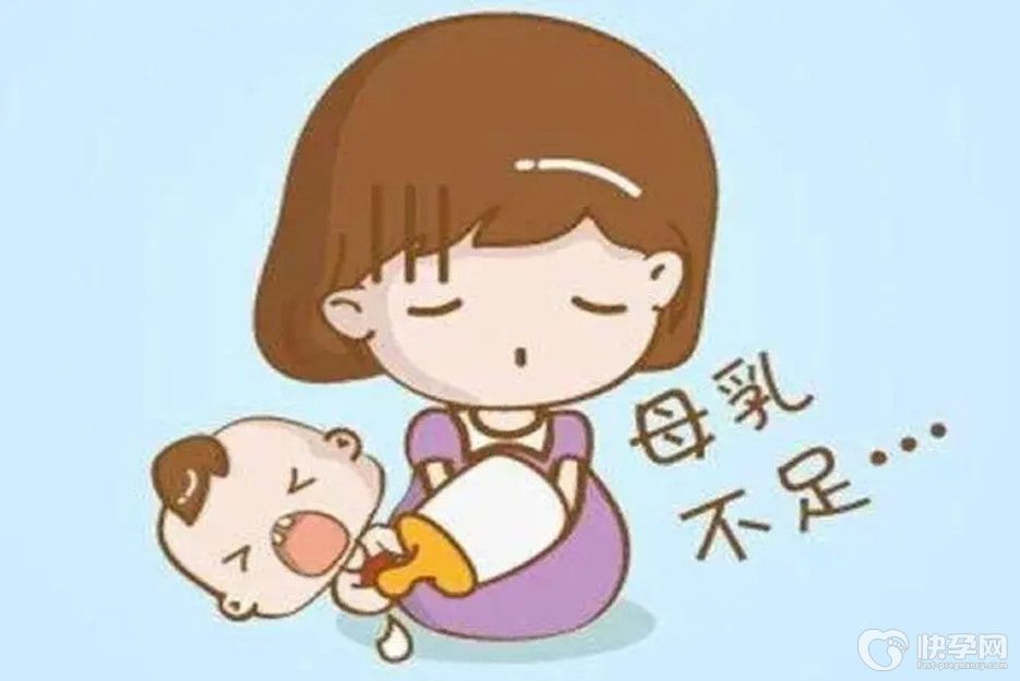 下奶喝什么汤最好，这6款汤好喝不油腻下奶快