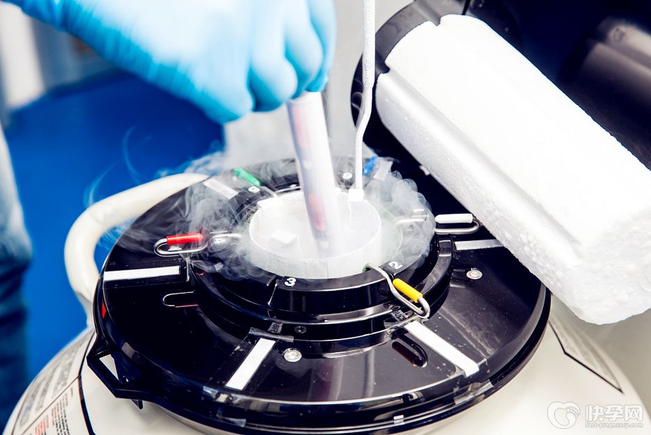 年轻人初婚年龄为什么推迟上热搜-婚姻和生育焦虑催生冻卵市场