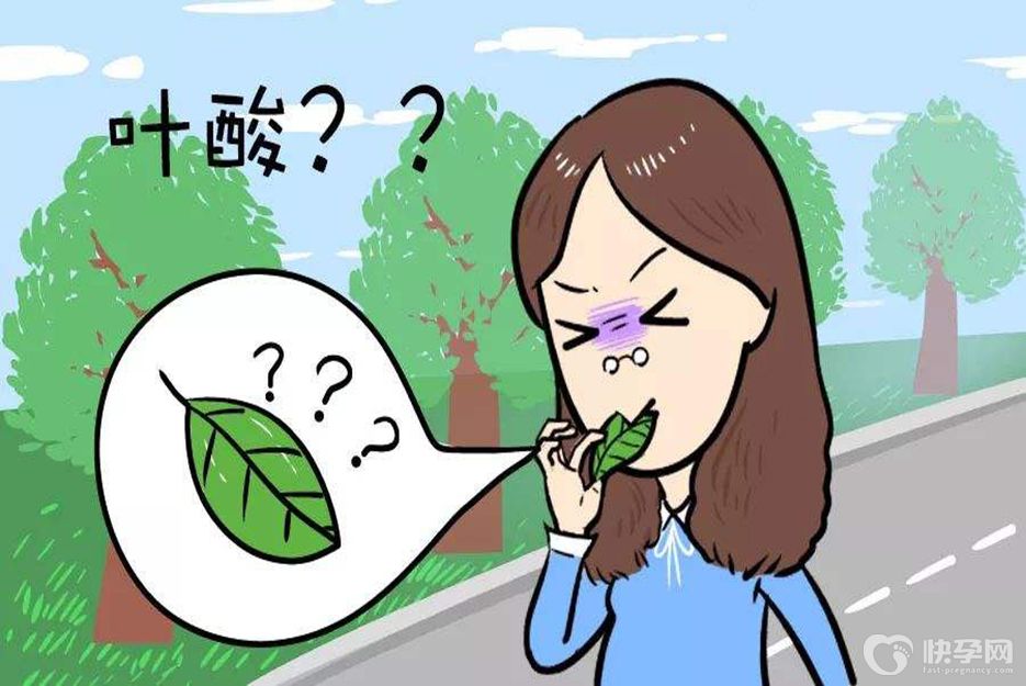 吃什么提高怀孕率，吃对了让“造人”不再是难题