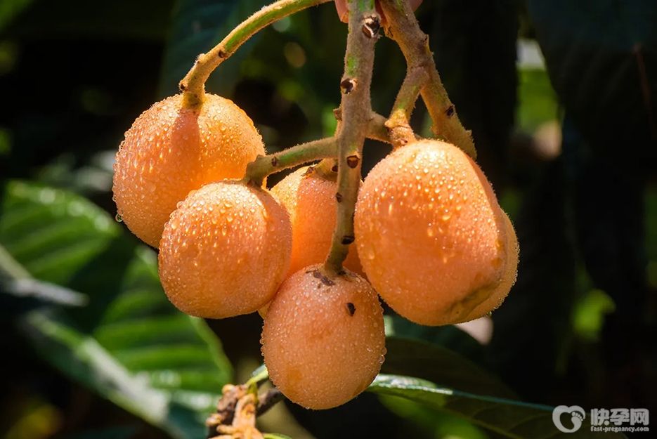 孕妇中期可以吃枇杷吗？枇杷再好不宜过量