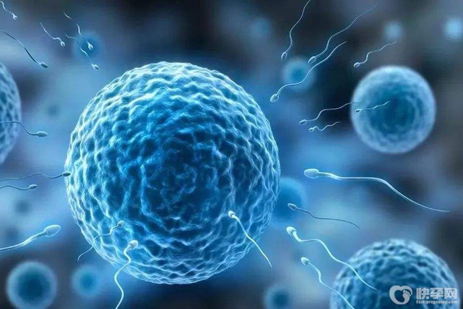 男性检查精子挂什么科？泌尿外科、男科、生殖科都可以进行