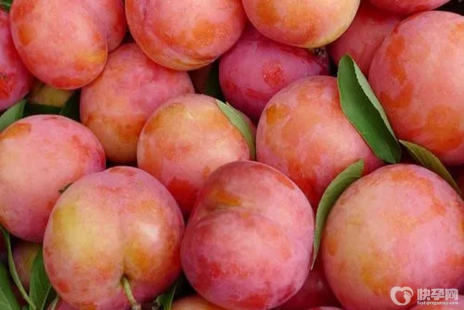 孕妇能不能吃李子，适当吃对身体有好处