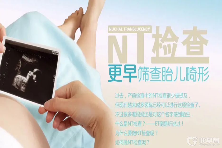 想知道是男孩还是女孩，注意查看NT检查单，三个亮点告诉你是男孩还是女孩