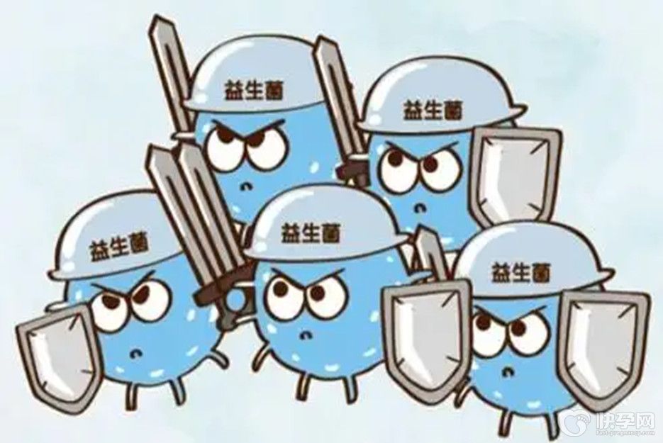 食品级益生菌有哪些品牌？揭秘六大受欢迎品牌