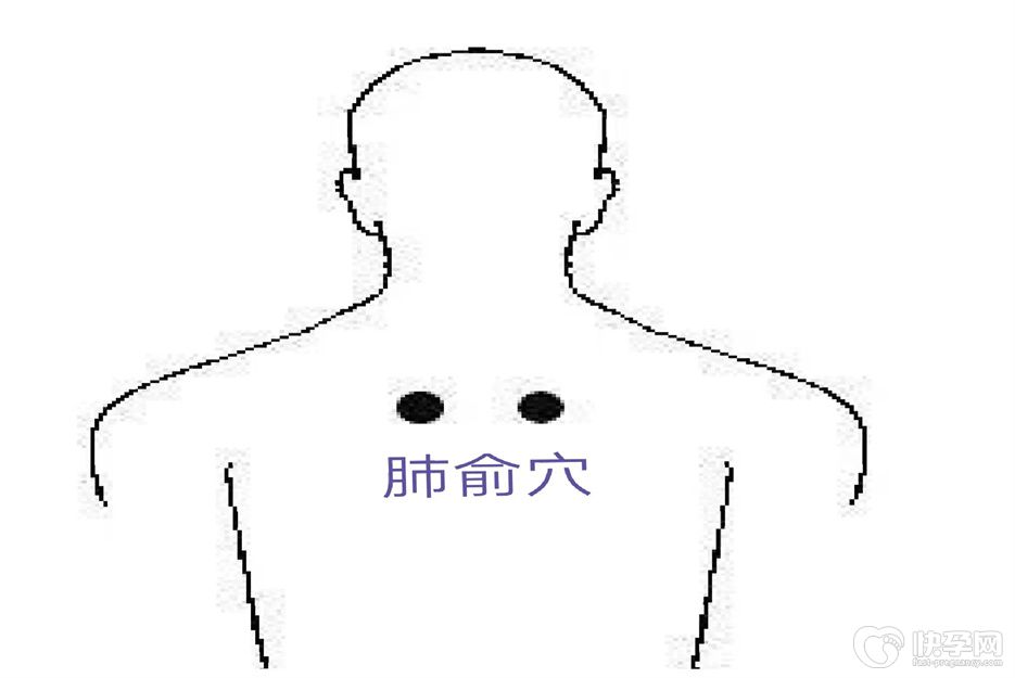 一文带你了解三伏贴贴敷部位图，看完赶紧收藏