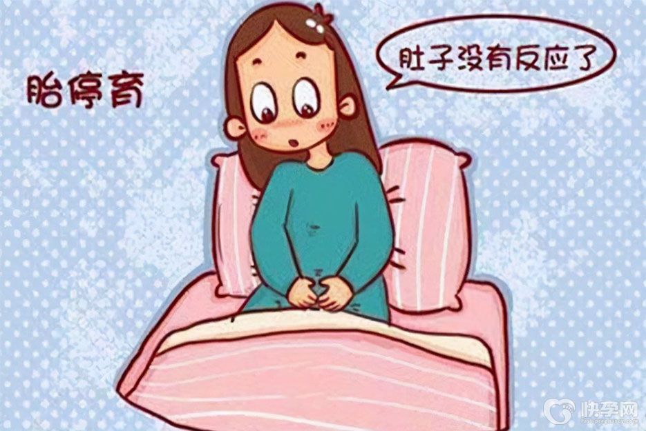 造成胎停育的六大原因，孕妇千万别疏忽