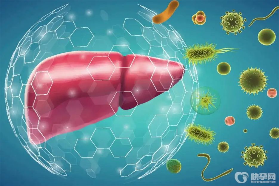 重点公布：肝病最怕的八种水果，紧趁夏天多吃点