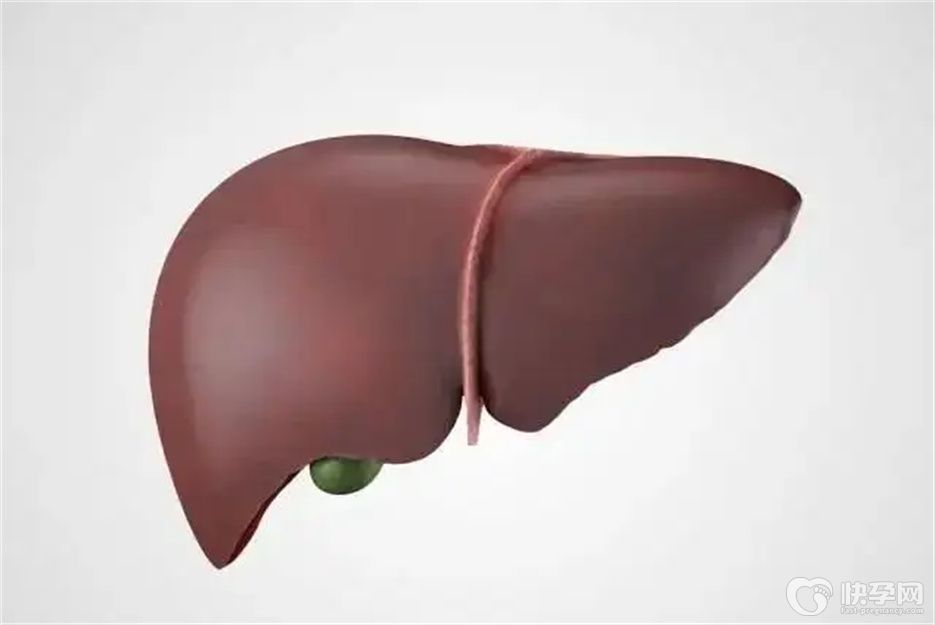 健康指南：肝代谢不好吃什么调理，多吃这六种食物助你养肝排毒