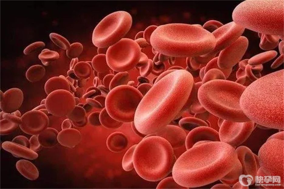 血小板低吃什么补得快？7种食物让你越吃越健康