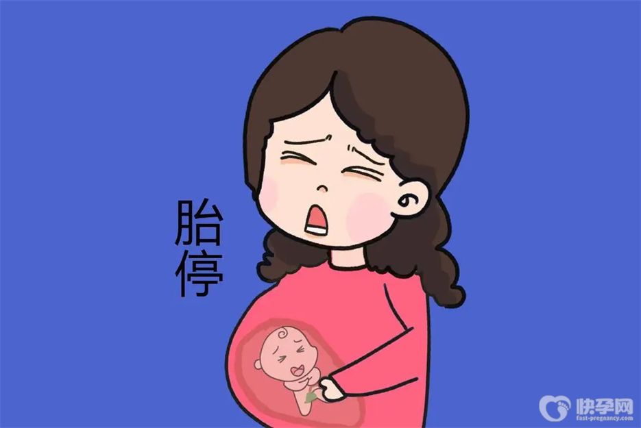 专题速览：拉肚子是胎停的征兆吗？这四个胎停信号你必须要了解下
