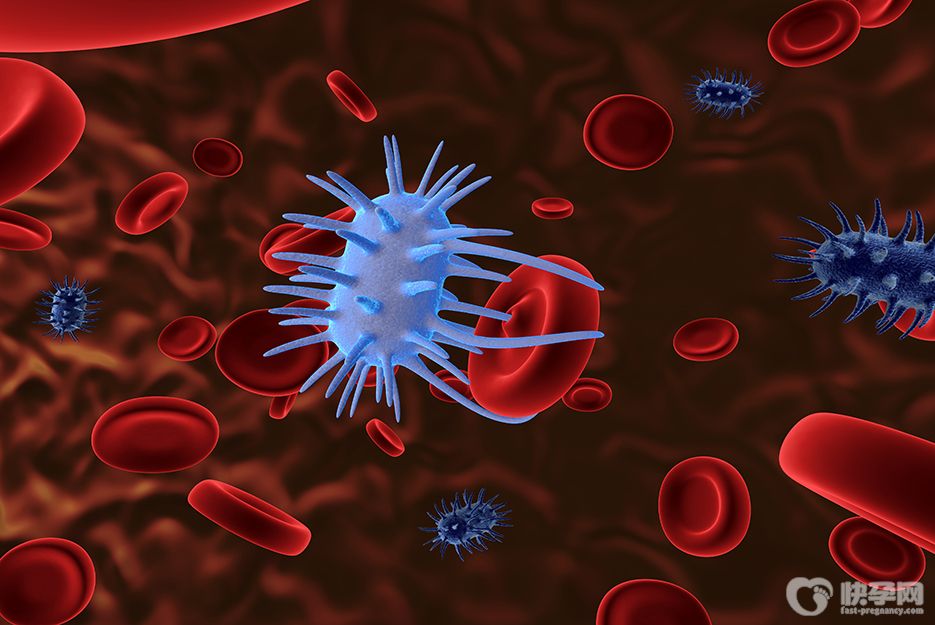 今日通报：深圳首现BF.15变异株，新冠第四针是否迫在眉睫？！