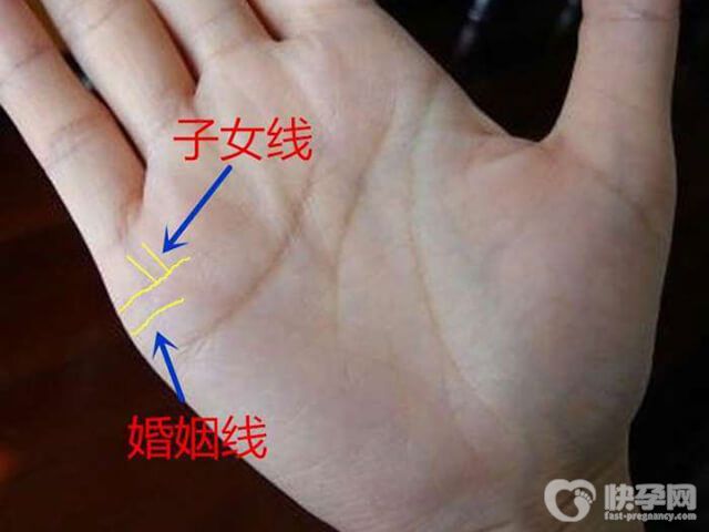 握拳手相看生几个孩子图解说明，民间方法别太当真哦