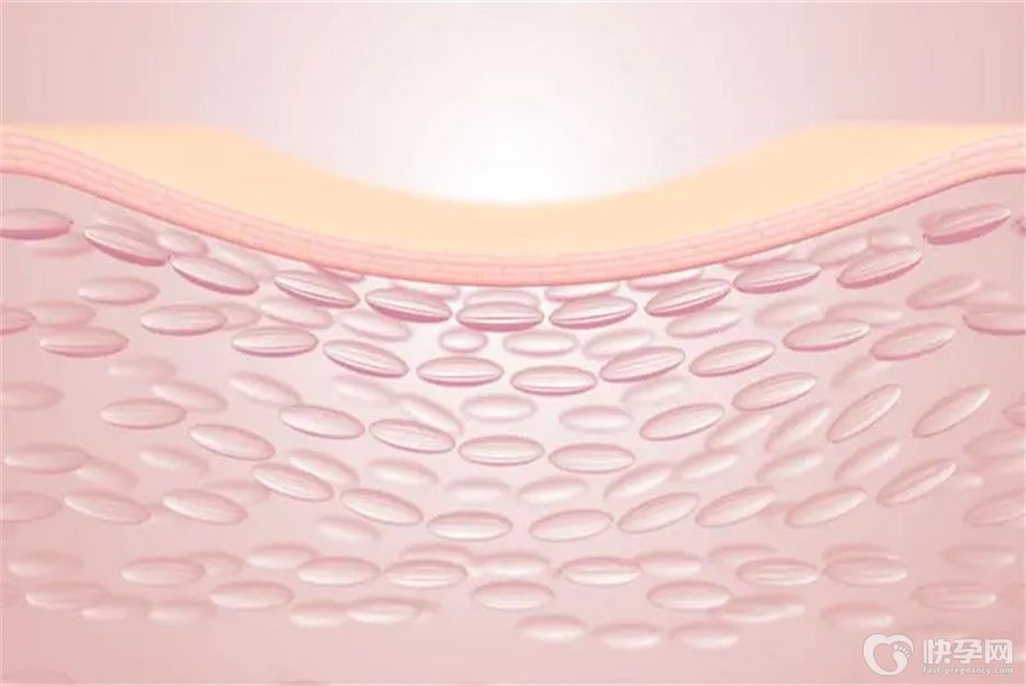 健康指南：胶原蛋白食物排行榜10强，吃出弹润光滑好肌肤