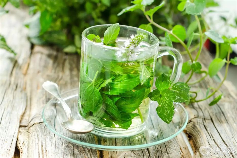 震惊！薄荷泡水喝竟有6个害处，赶紧点进来看看