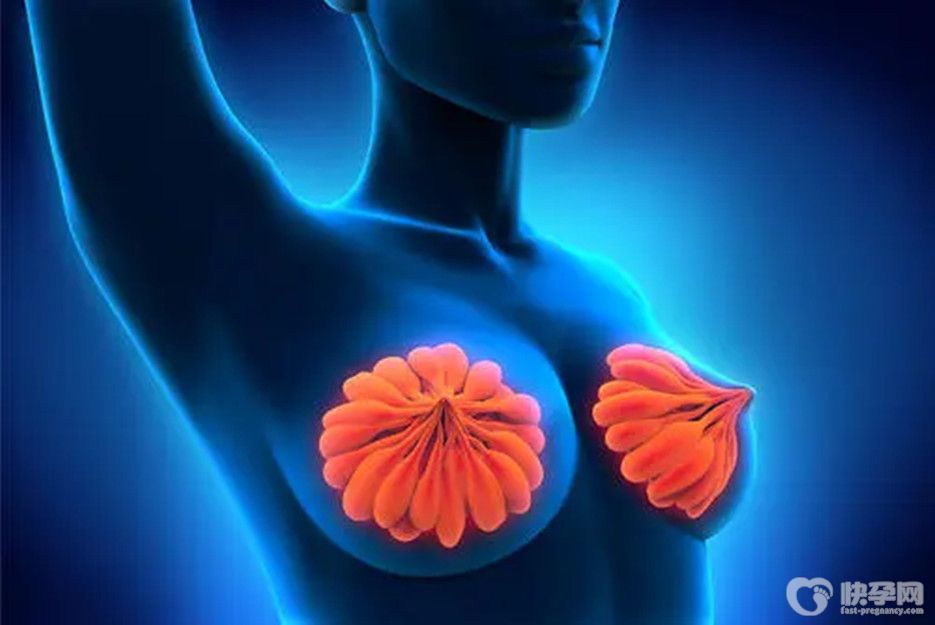 乳腺增生禁忌水果，快看看有没有你经常吃的