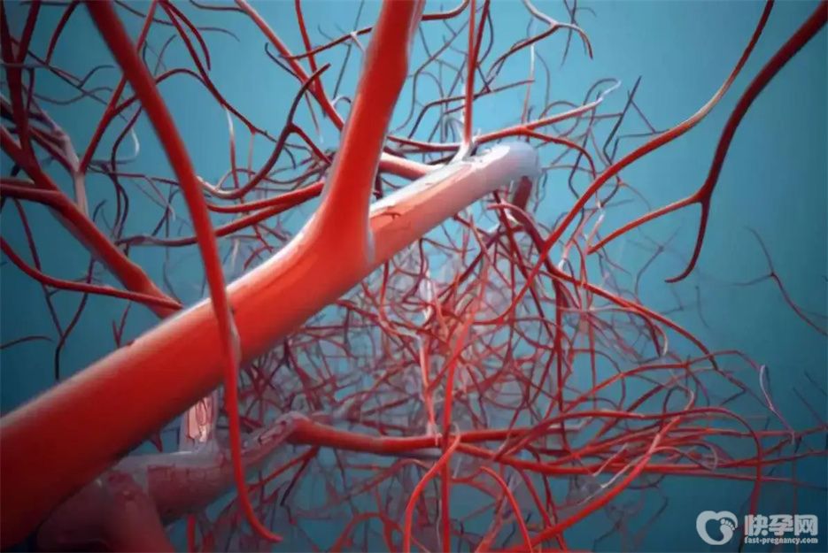 吃什么食物能软化血管，这7种食物是天然的“血管软化剂”