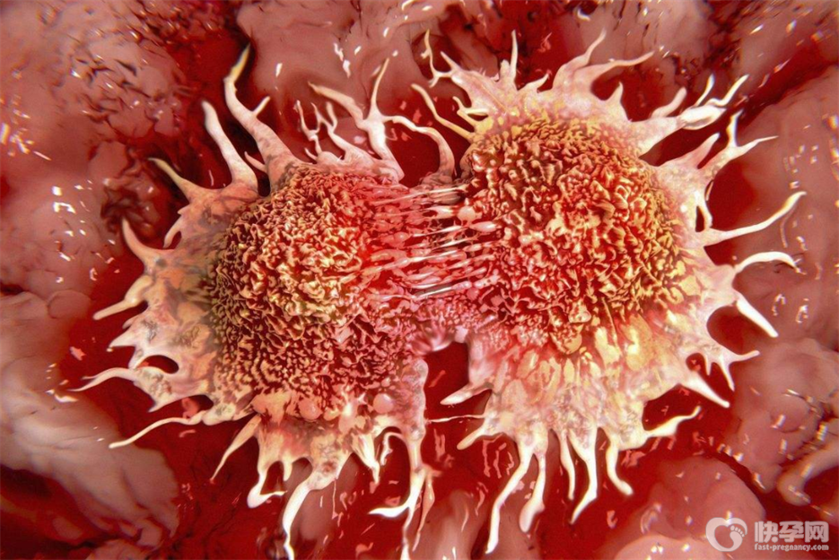 杀死癌细胞最狠的6种水果，早知早受益