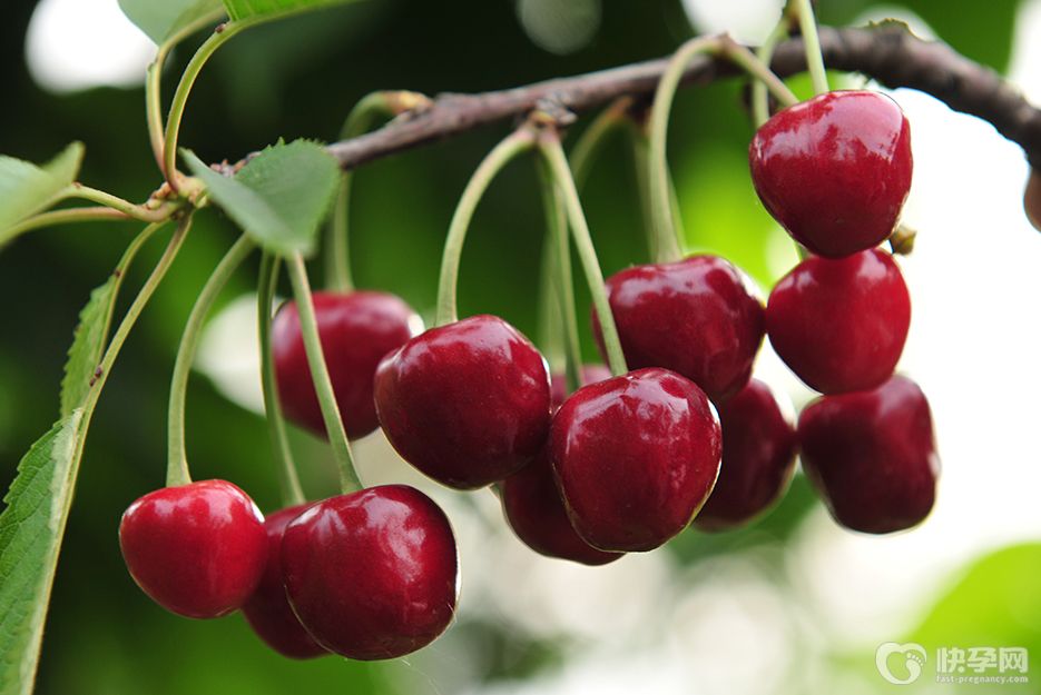 女人吃樱桃对身体有什么好处？这六个好处不请自来